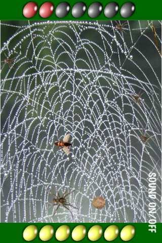 Screenshot Spider's Web Screenshot Spider's Web